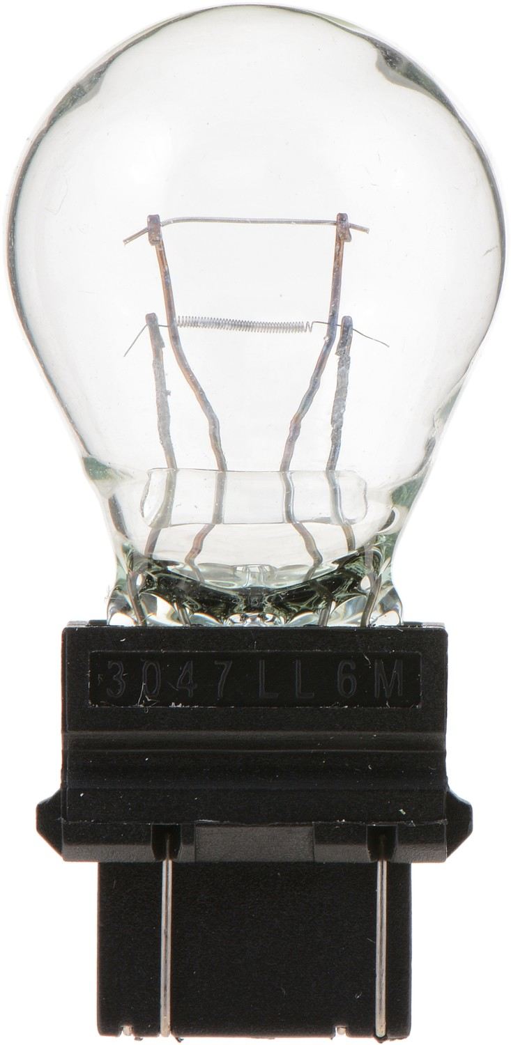philips tail light bulb frsport 3047llb2