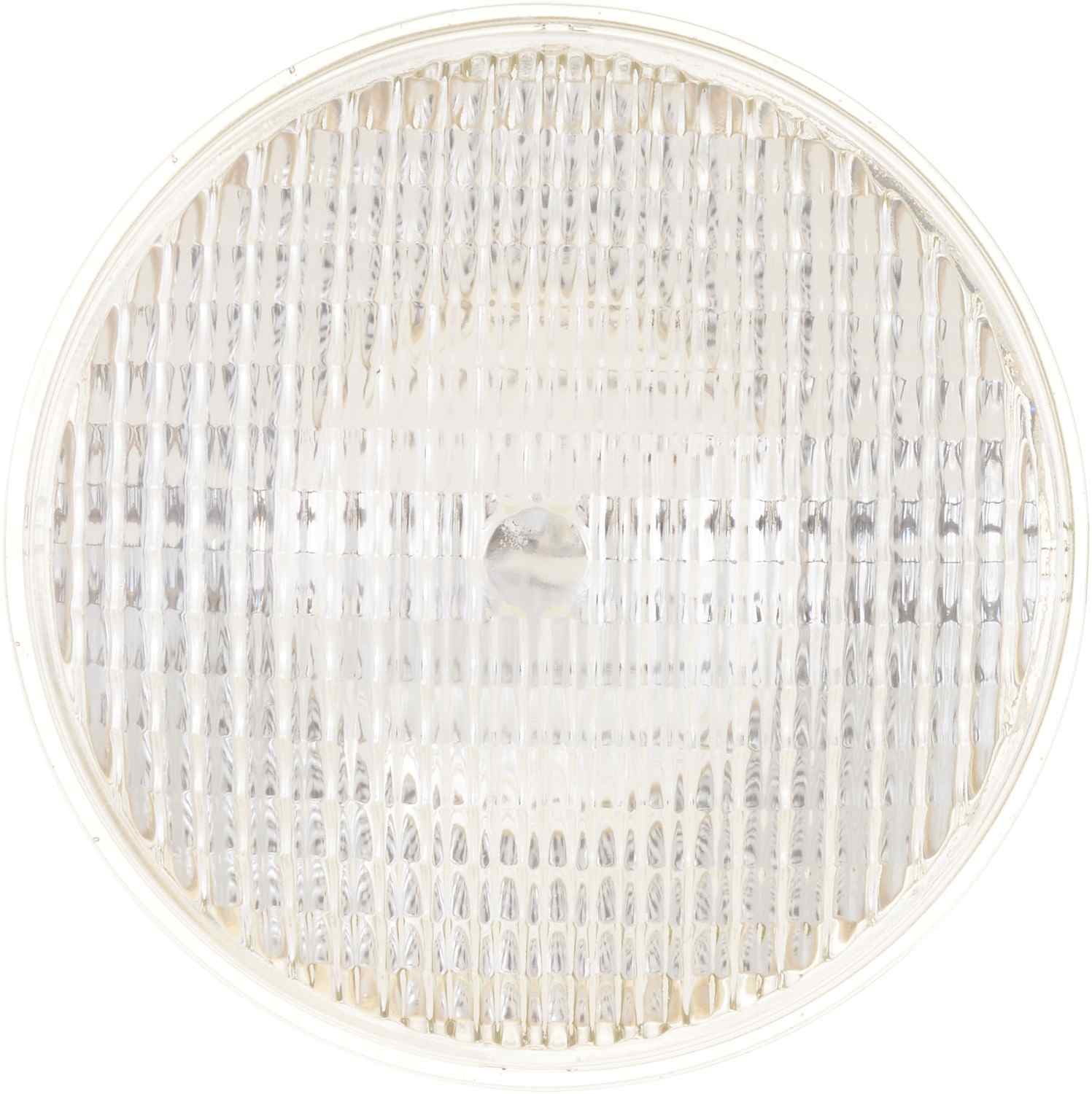 Philips Headlight Bulb top view frsport 4413C1