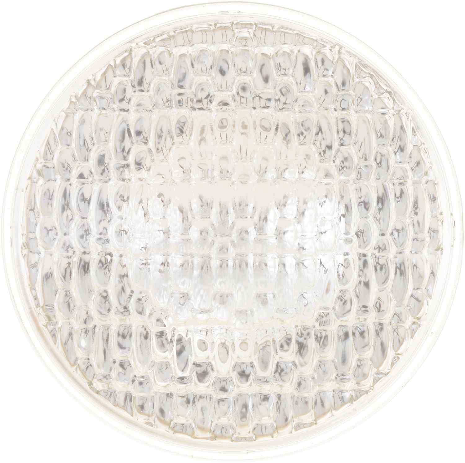 Philips Headlight Bulb top view frsport 4419C1