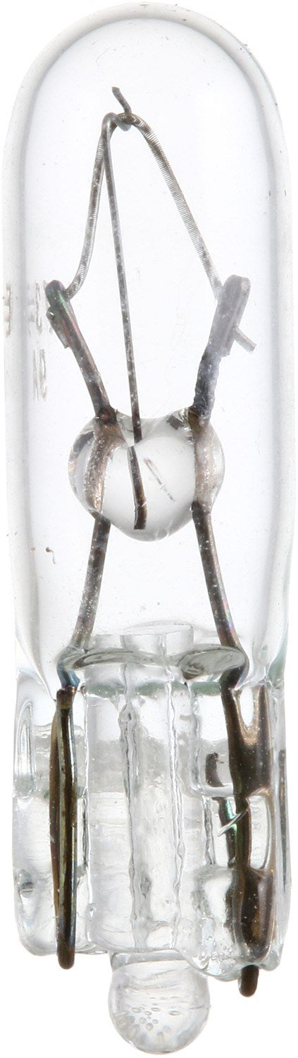 Philips Multi-Purpose Light Bulb top view frsport 73CP