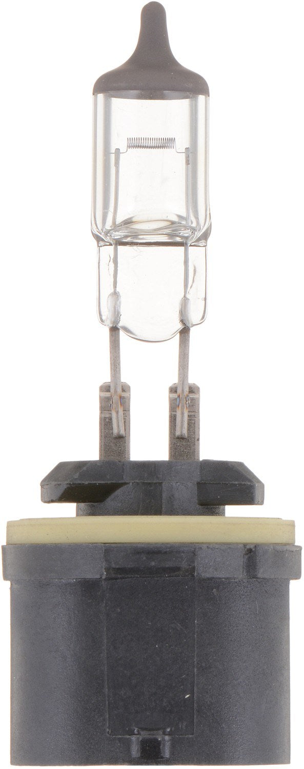 Philips Fog Light Bulb top view frsport 880B1