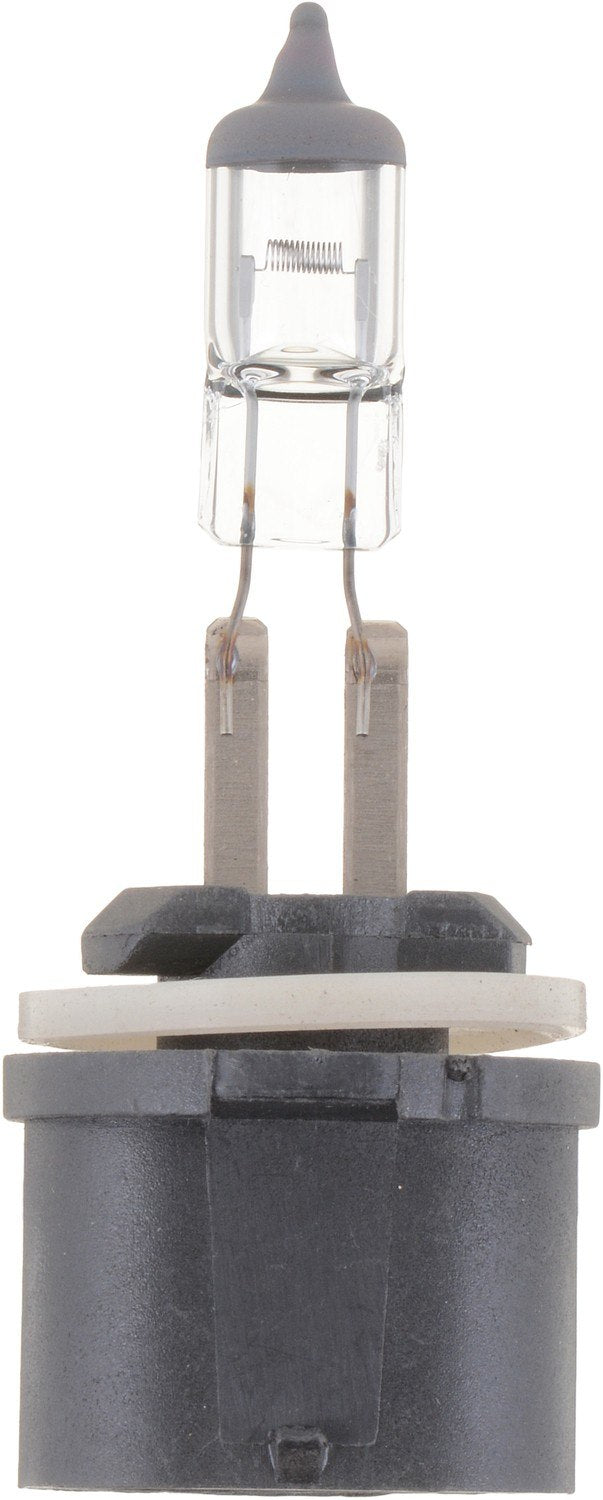 Philips Fog Light Bulb top view frsport 893B1