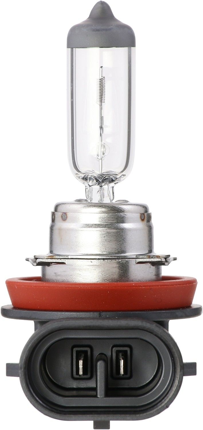 Philips Headlight Bulb top view frsport H11MDC1