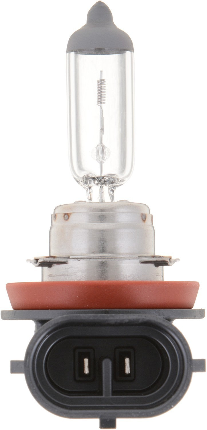 Philips Headlight Bulb top view frsport H11PRB1