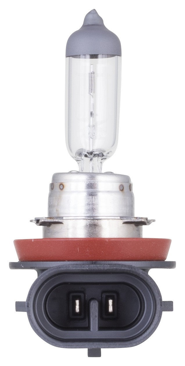 philips headlight bulb frsport h11vpb1