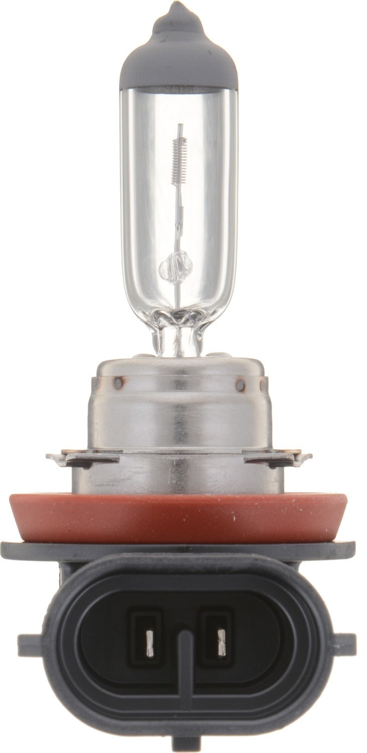 Philips Headlight Bulb top view frsport H11VPB2
