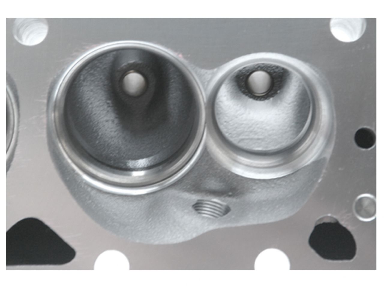 Dart Dual Spring SBC Iron Eagle Platinum Head 215cc 72cc CC 2.05/1.60