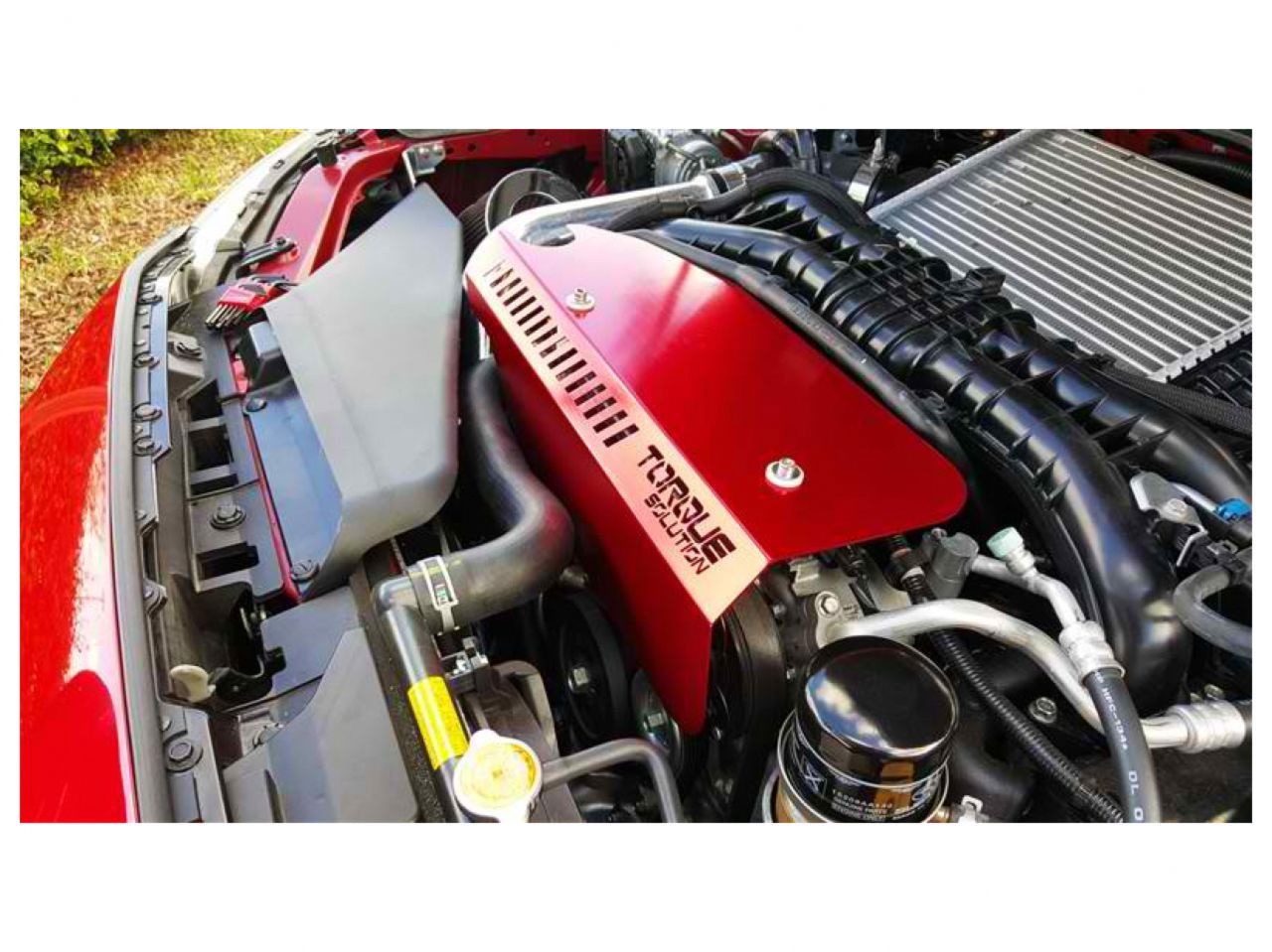 Torque Solution Engine Pulley Cover (Blue): 15+ Subaru WRX / Forester XT 14+ FA20DIT