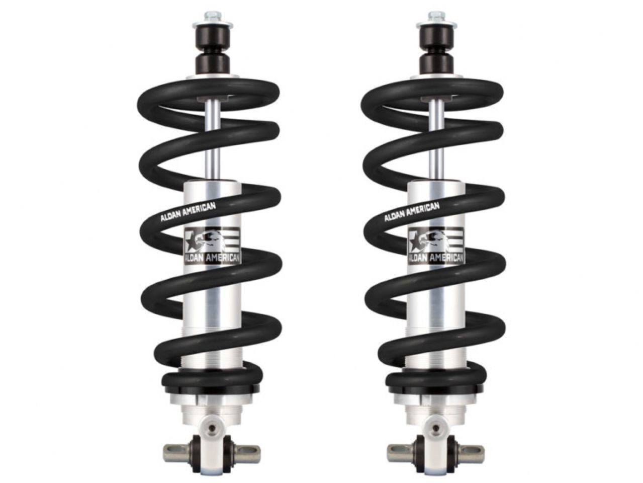 Aldan American Coilover Spring and Shock Assembly