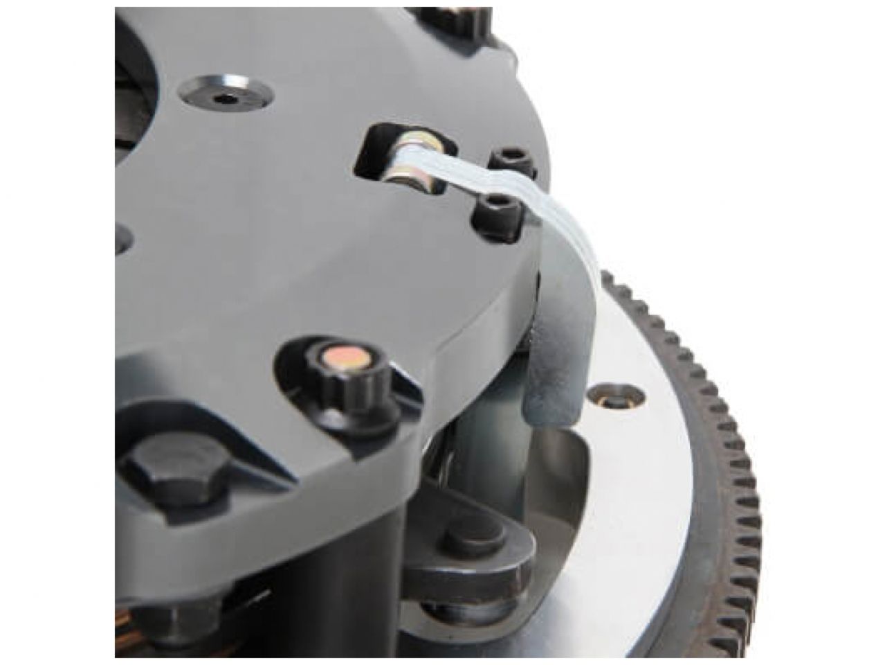 Hays Dragon Claw Clutch Kit - Dual Disc