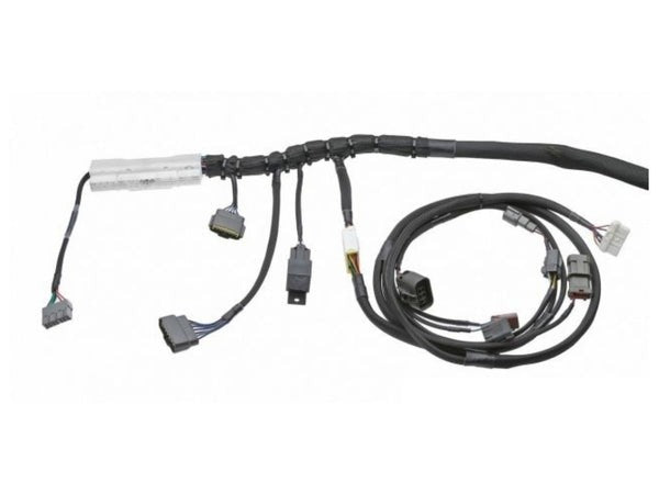 Standalone Wiring Harness 