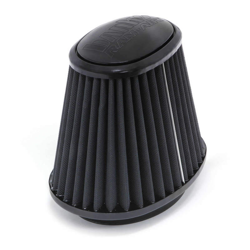 Banks Power Various Ford & Dodge Diesels Ram Air System Air Filter Element - Dry 42188-D Photo - Primary