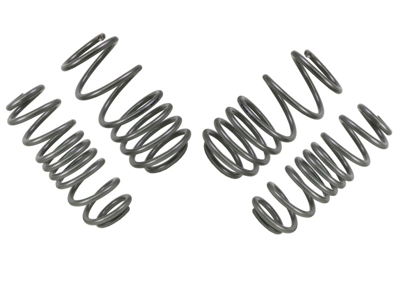 Whiteline Coil Springs - Lowered WSK-VWN003 Photo - Close Up