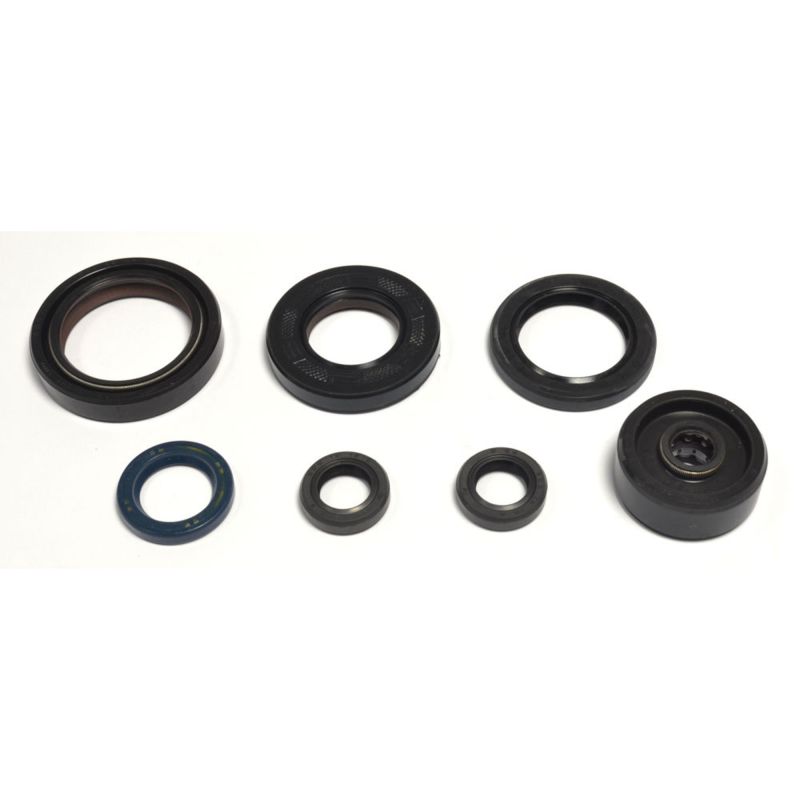 Athena Complete Engine Oil Seal Kit P400485400125 P400485400125 Photo - Primary
