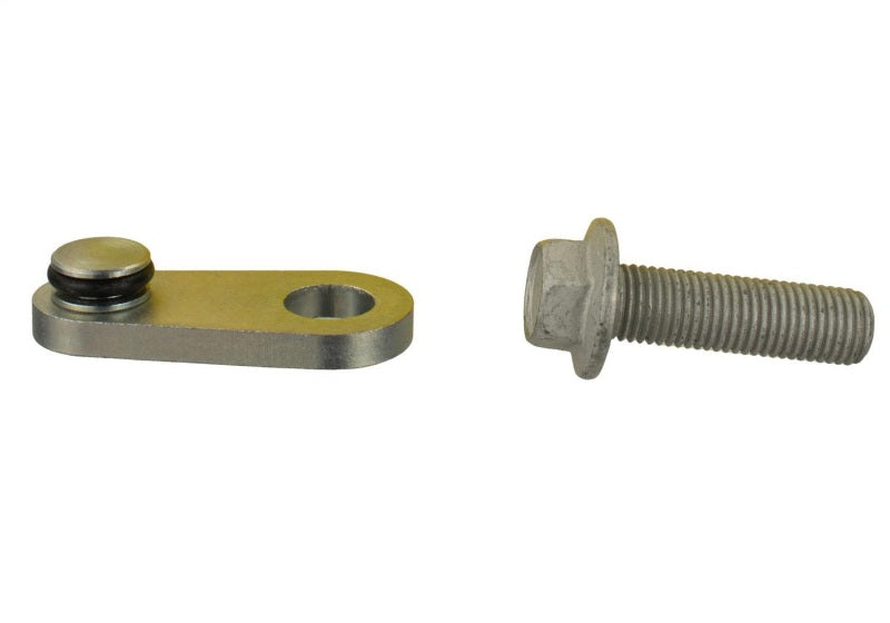 Ford Performance Parts 2.3L Ecoboost Balance Shaft Block-off Plug M-6026-23BSBP Photo - Unmounted