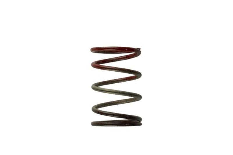 Turbosmart WG40 11PSI Middle Spring Brown/Red TS-0505-2004 Photo - Primary