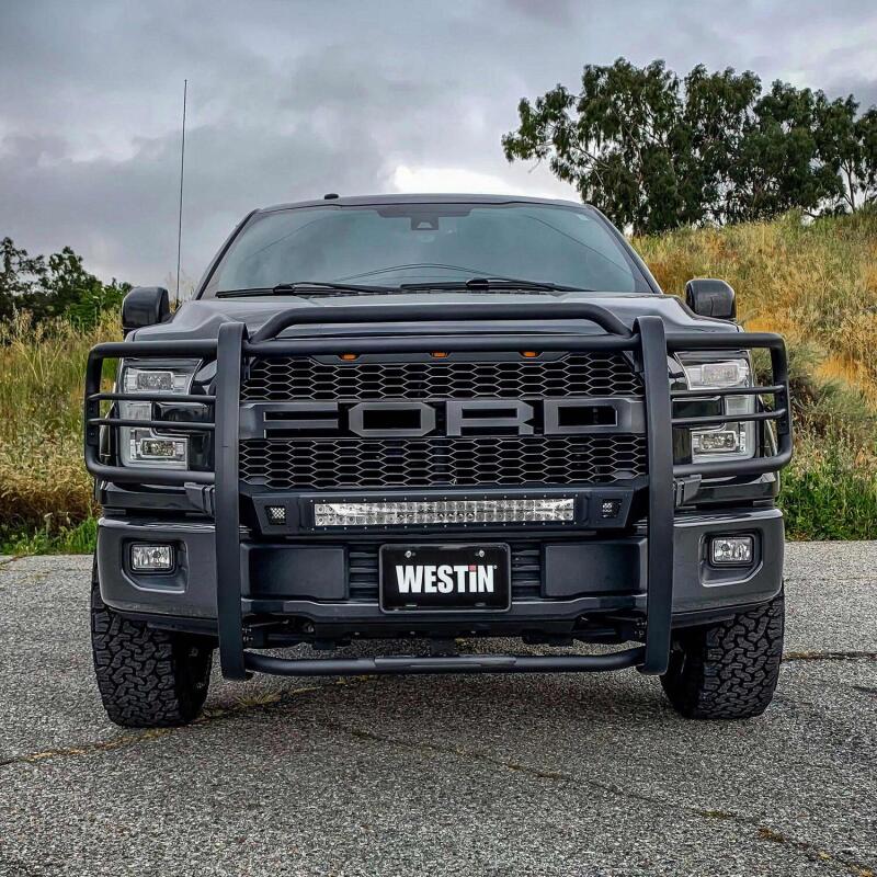 Westin 15-20 Ford F150 Sportsman X Grille Guard - Textured Black 40-33835 40-33835 Photo - Mounted