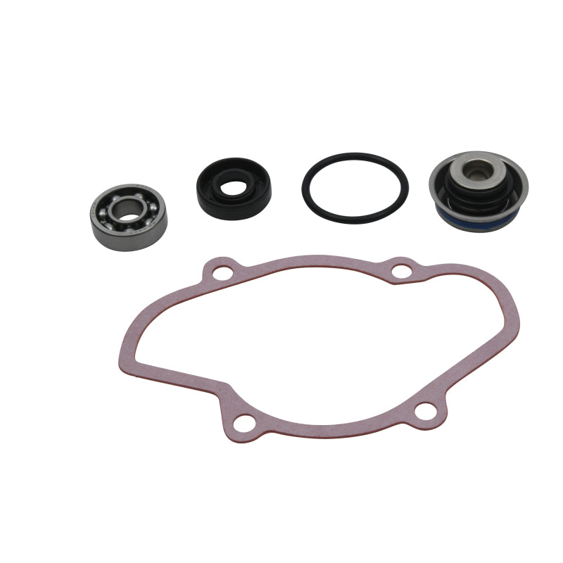 Vertex Pistons Vertex Gaskets 16-18 Ski-Doo Expedition 800 2-Stroke ETEC Water Pump Rebuild Kit 721312 721312 Photo - Primary