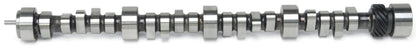 Edelbrock SBC LT-1 Roller Cam 2108 Photo - Primary