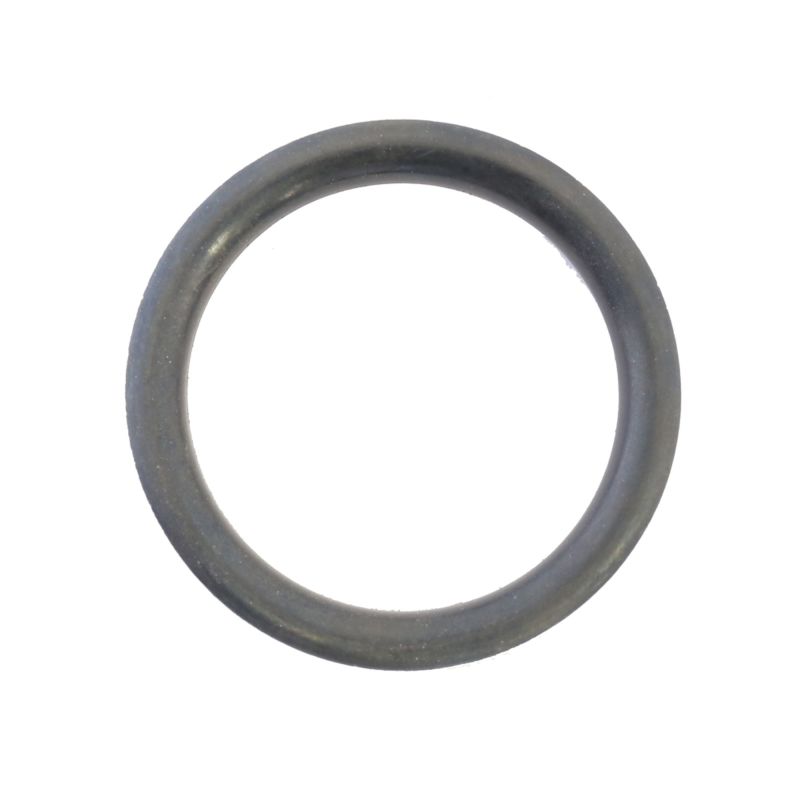Athena Harley-Davidson Sportsters Fuel Cap O-Ring - Set of 10 S410195138001 S410195138001 Photo - Primary