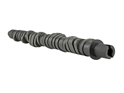 Skunk2 Tuner Stage 4 Camshaft - D VTEC 305-05-0055 Photo - Unmounted