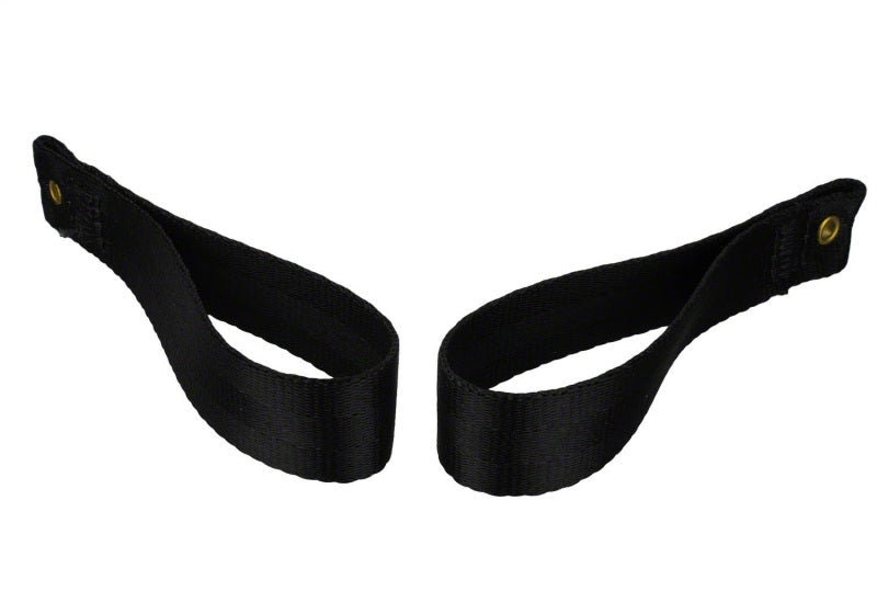 Ford Racing Bronco Tube Door Pull Strap M-19008-BTDP M-19008-BTDP Photo - Unmounted