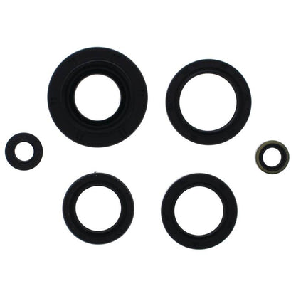 Vertex Pistons Vertex Gaskets 12-14 Kawasaki KVF750 Brute Force Oil Seal Kit 822366 822366 Photo - Primary