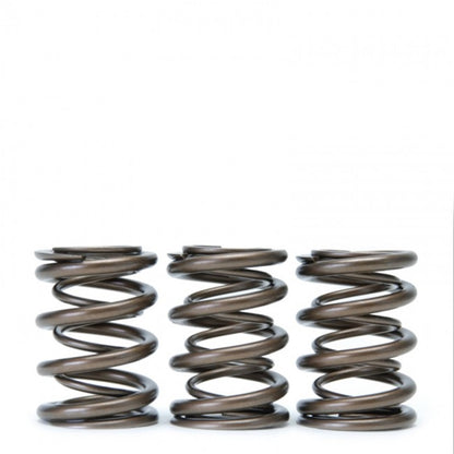 Skunk2 Alpha Series Valve Spring Set Honda/Acura DOHC H VTEC 311-05-1360 Photo - Unmounted