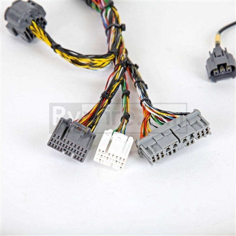Rywire 02-04 Honda K-Series Mil-Spec Engine Harness w/OBD2 02-04 RSX K20 Sensors (Adapter Req) RY-K2-MILSPEC RY-K2-MILSPEC Photo - Primary