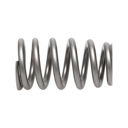 Manley Performance Springs Single Hemi 221431-16 User 2
