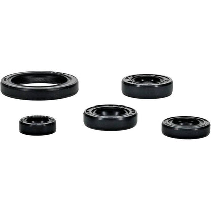 Vertex Pistons Vertex Gaskets 20-23 Yamaha WR250F Oil Seal Kit 822994 822994 Photo - Primary