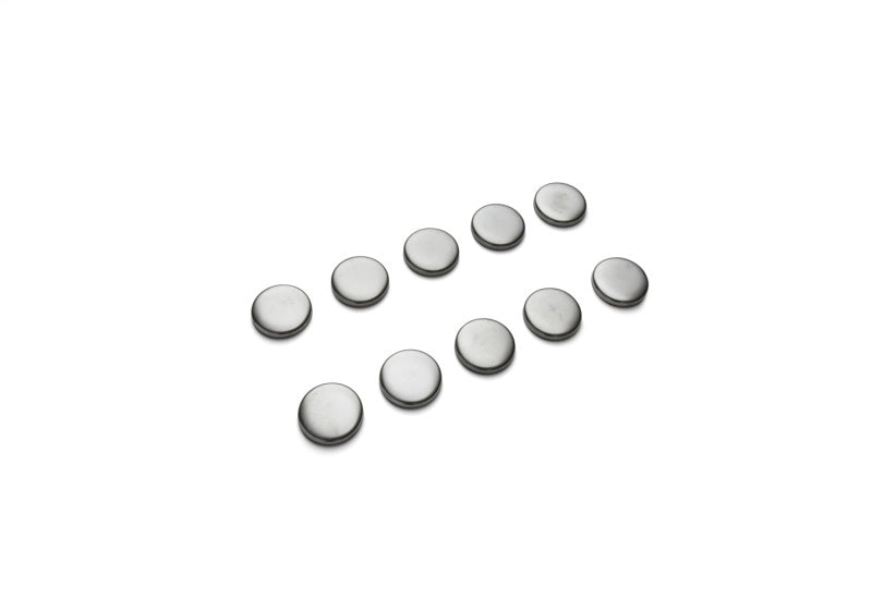 Ford Performance Parts Ford Racing Cylinder Block Camshaft Plug M-6026-S351 Photo - Unmounted