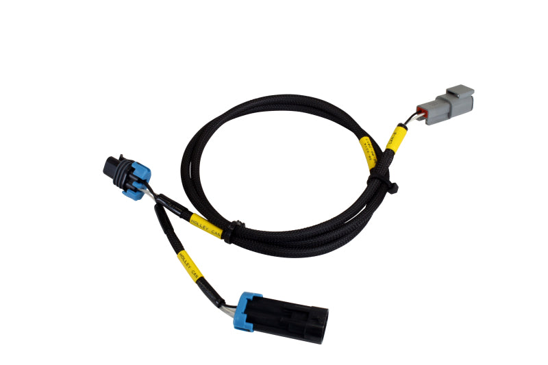 AEM Electronics CD-7/CD-7L Plug & Play Adapter Harness For Holley EFI 30-2214 Photo - Primary