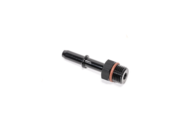 Radium Engineering Radium 6AN ORB to .313in SAE Male Fitting 14-0646 14-0646 Photo - Primary
