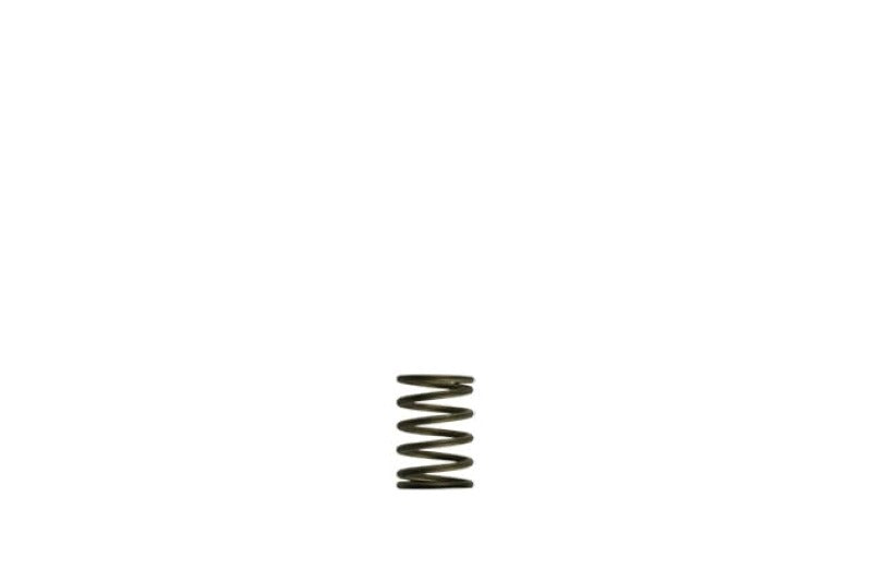 Turbosmart Gen-V WG38/40 3psi Black Inner Spring TS-0550-3081 TS-0550-3081 Photo - Primary