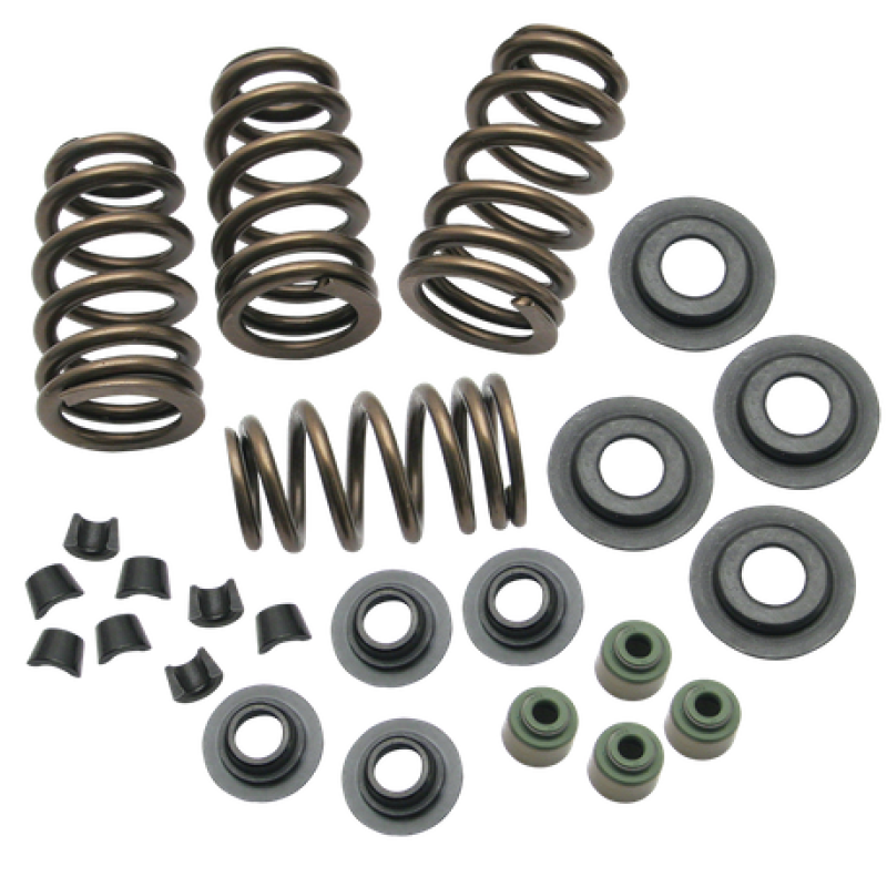 S&S Cycle 04-19 XL Valve Spring Kit - .650in 106-5909 106-5909 User 1