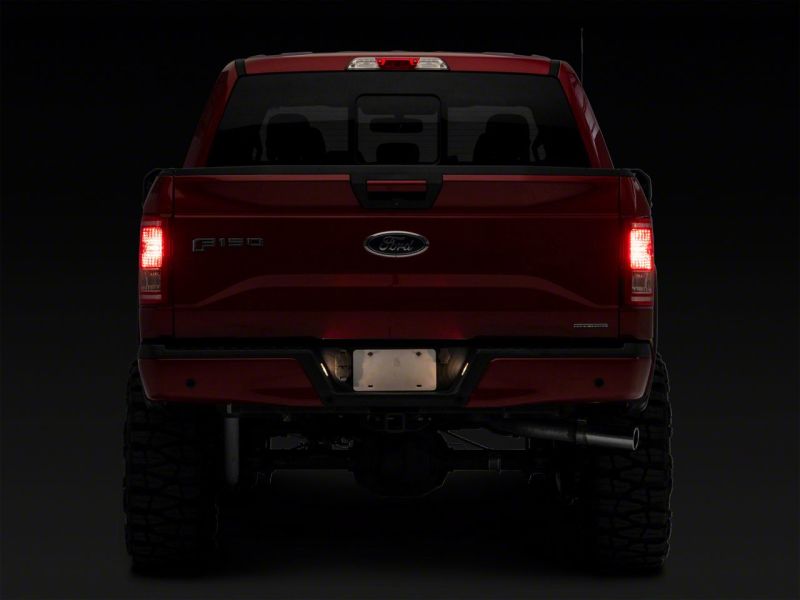 Raxiom 15-23 Ford F-150 Axial Series OEM Replacement License Plate Lamps T557362 T557362 Photo - Close Up
