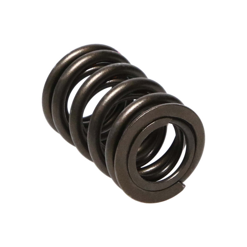 Manley Honda (H33 V-Tec) 16pc Valve Springs 22110-16 22110-16 Photo - Primary