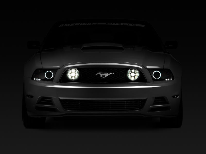 Raxiom 13-14 Ford Mustang GT CCFL Halo Fog Lights (Smoked) 49177