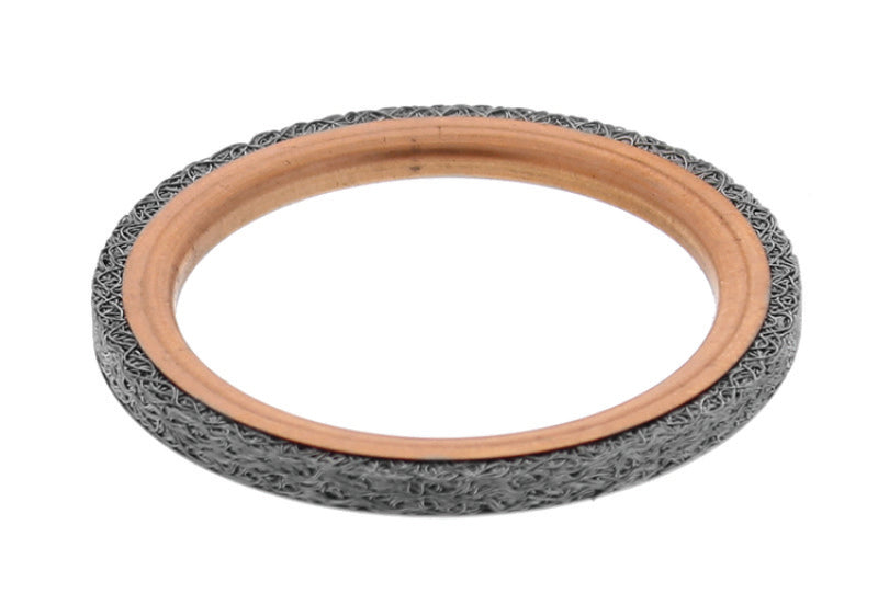 QuadBoss Exhaust Gasket Kit 568951 568951 Photo - Primary