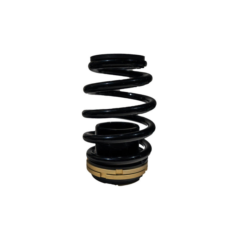BLOX Racing 12-13 Honda Civic SI Plus Series Fully Adjustable Coilovers BXSS-00120 BXSS-00120 User 1