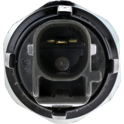 Rostra Powertrain Controls Engine Oil Pressure Switch 50-1271