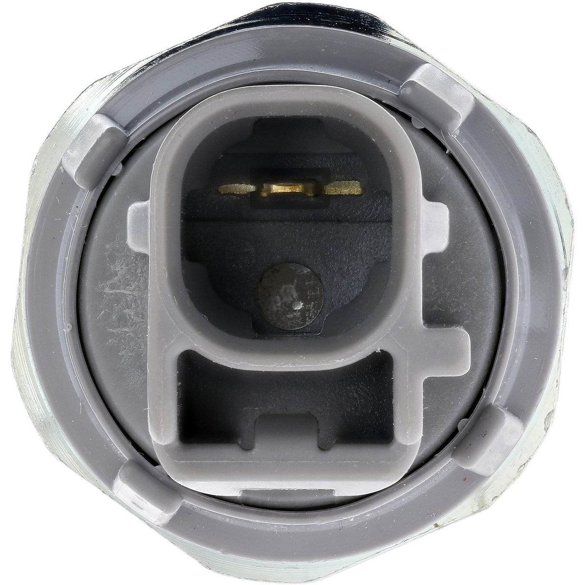 Rostra Powertrain Controls Engine Oil Pressure Switch 50-1331