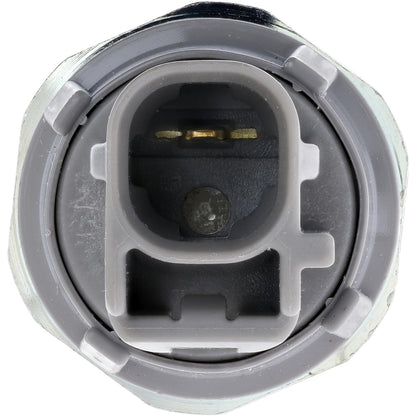 Rostra Powertrain Controls Engine Oil Pressure Switch 50-1331