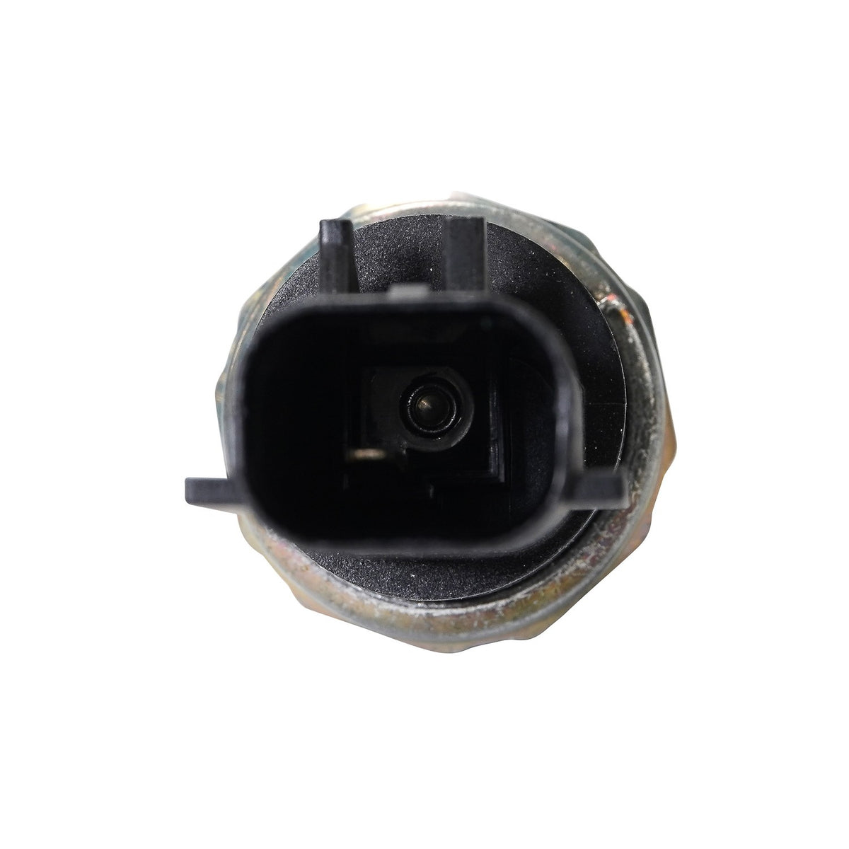 Rostra Powertrain Controls Engine Oil Pressure Switch 50-1473