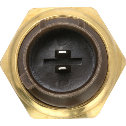 Rostra Powertrain Controls Engine Coolant Temperature Switch 68-0231