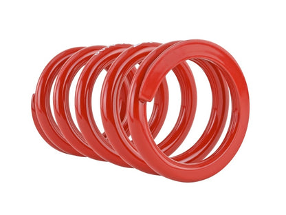 Skunk2 Universal Race Spring (Straight) - 6 in.L - 2.5 in.ID - 10kg/mm (0600.250.010S) 521-99-1000 521-99-1000 Photo - Unmounted