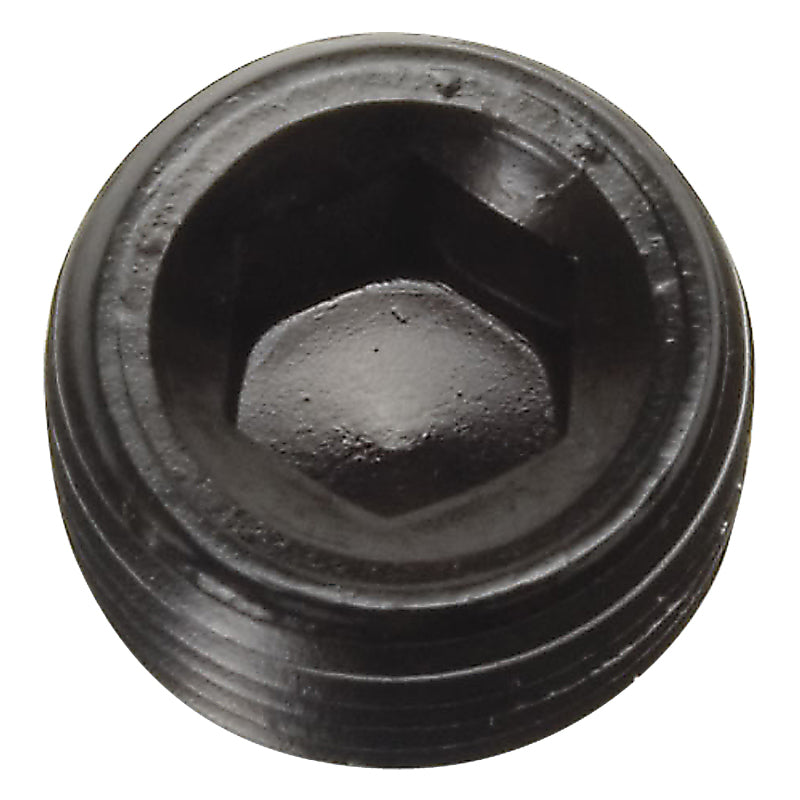Russell 1/2" Aluminum Allen Socket Pipe Plugs (Black Finish) 662063 Photo - Primary