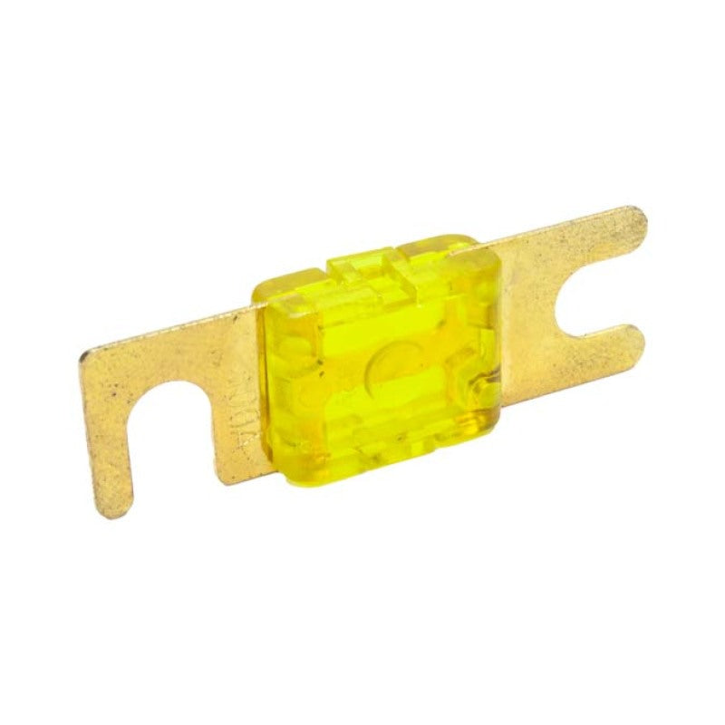 Snow Performance Snow 100 Amp Fuse SNF-25012 SNF-25012 User 1