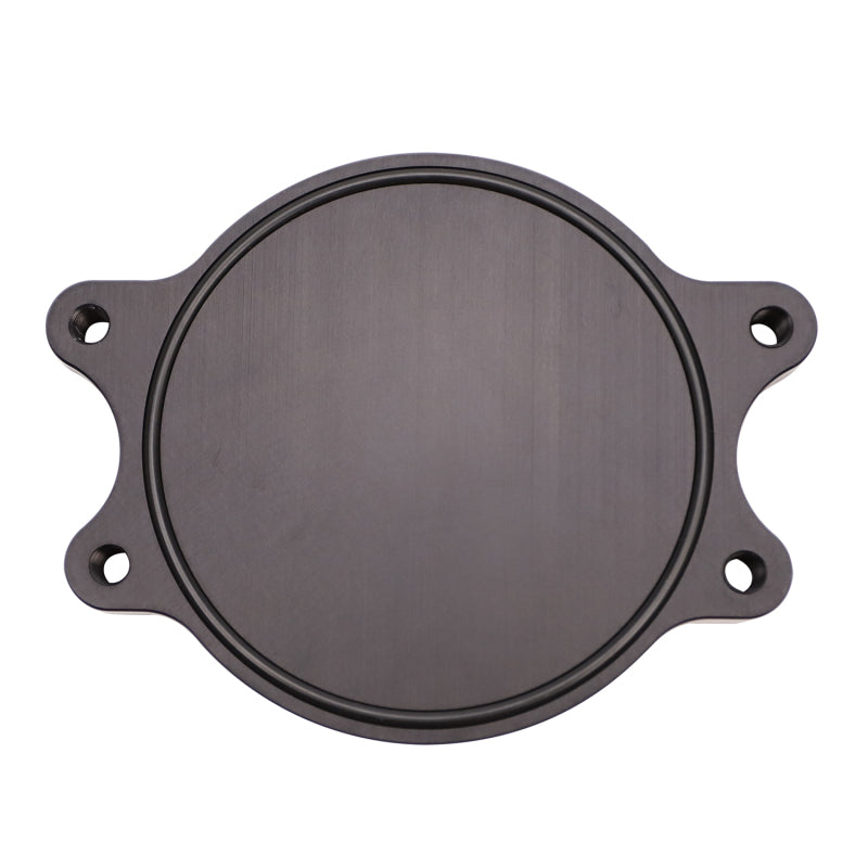 Wehrli 01-16 Chevrolet 6.6L Duramax Valley CP3 Block Off Plate WCF100024 WCF100024 Photo - Primary